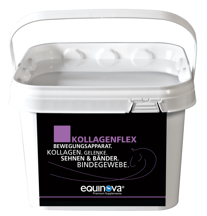equinova® Kollagenflex
