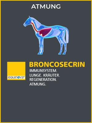 kategorie-produkt-overview-broncosecrin