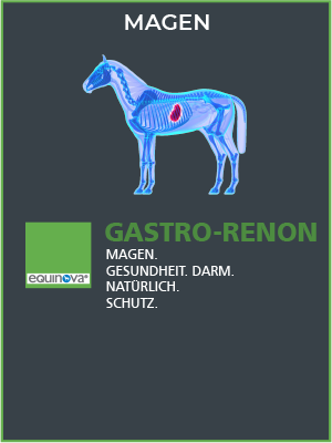 detailbild-produkt-kategorie-gastro-renon